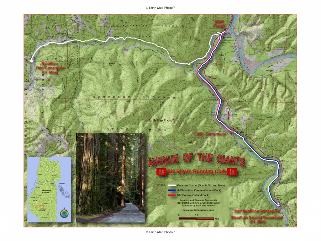 Marathon - Avenue Of The Giants California Map