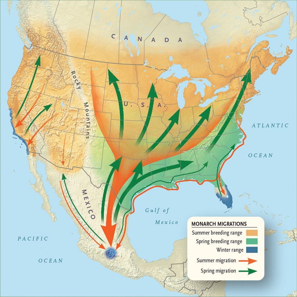 Monarch Migration Map | Monarch Butterfly Migration | Monarch - Monarch Butterfly Migration Map California