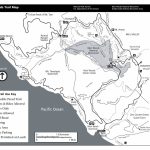 Muir Woods Maps | Npmaps   Just Free Maps, Period.   Muir Woods Map California