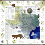 My Favorite Map: The Natural Heritage Map Of Texas, 1986   Texas Land Office Maps