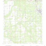 Mytopo Bunnell, Florida Usgs Quad Topo Map   Bunnell Florida Map