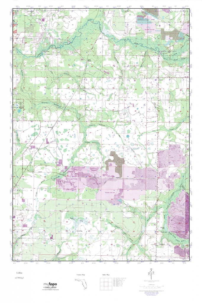 Mytopo Lithia, Florida Usgs Quad Topo Map - Lithia Florida Map