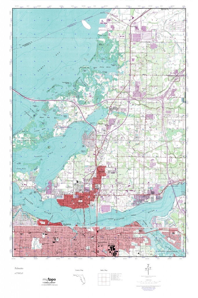 Mytopo Palmetto, Florida Usgs Quad Topo Map - Palmetto Florida Map