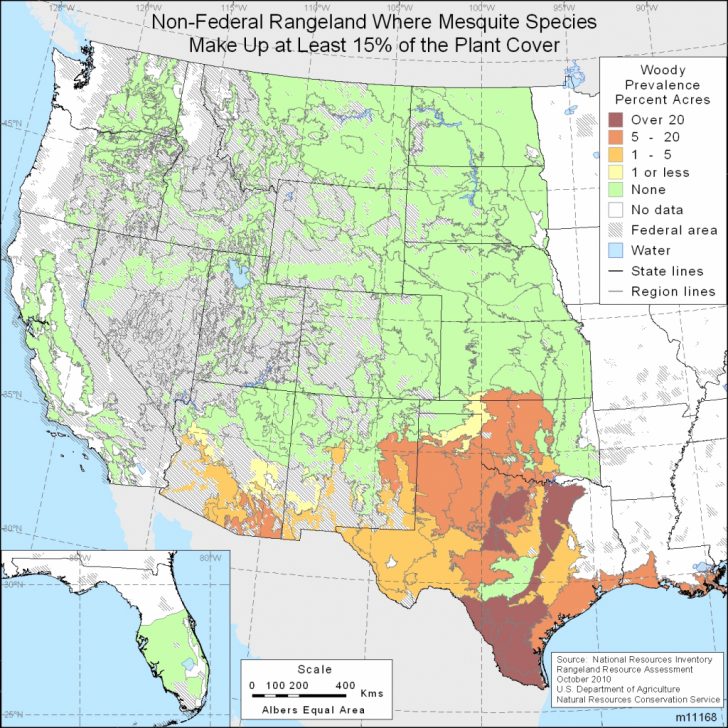 Native Invasive Woody Species Nrcs Texas Tree Map Printable Maps