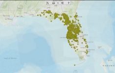 Florida Sinkhole Map By County