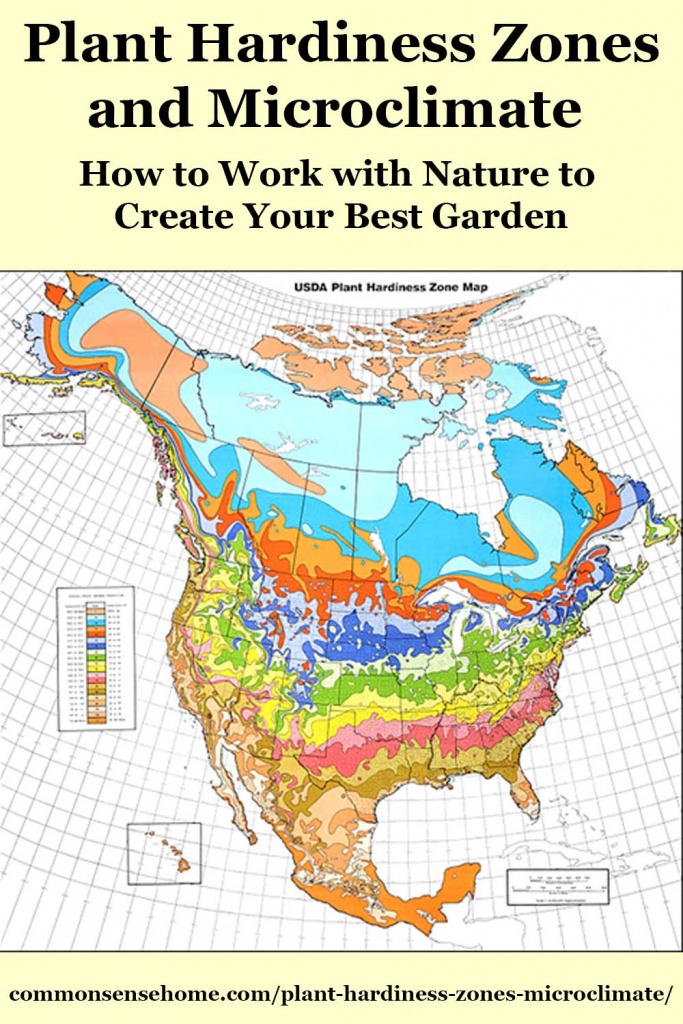 Plant Hardiness Zones And Microclimate - Creating Your Best Garden - Usda Zone Map Texas