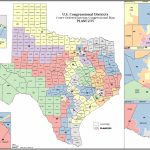 Political Participation: How Do We Choose Our Representatives   Texas Congressional District Map