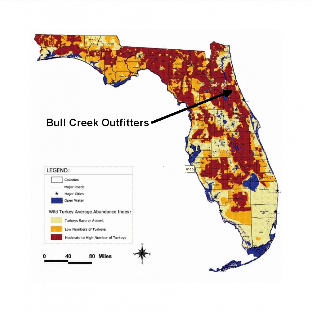 Population Map | Bull Creek Outfitters - Florida Wild Hog Population Map