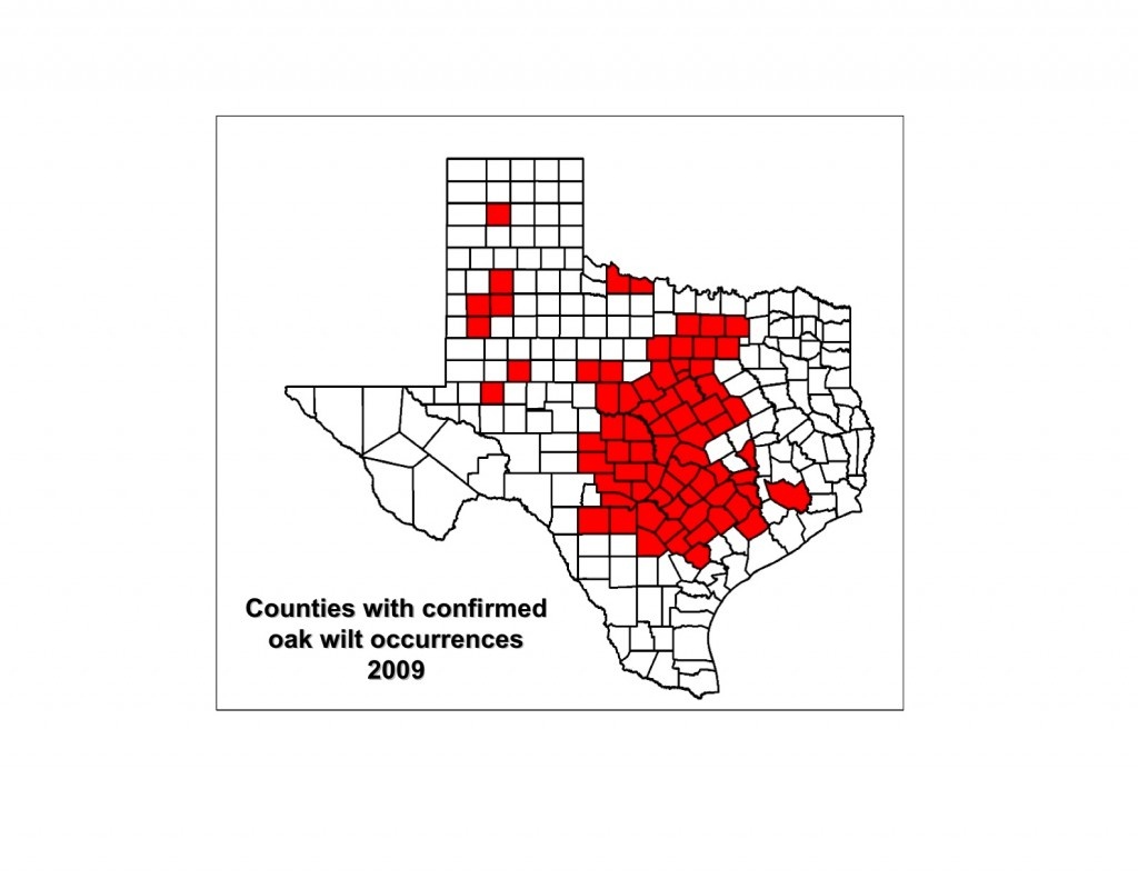 Red Oak Texas Map - World Maps - Red Oak Texas Map