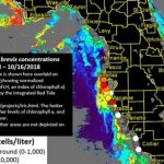 Red Tide Maps Show Few Spots In Southwest Florida   Current Red Tide Map Florida
