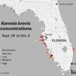 Red Tide: Why Florida's Toxic Algae Bloom Is Killing Fish, Manatees   Toxic Algae In Florida Map