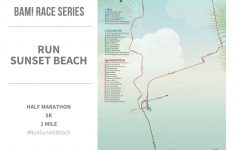Printable Map Of Ocean Isle Beach Nc