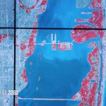Sea Level Rise And Coastal Cities | National Geographic Society   Map Of Florida After Sea Level Rise