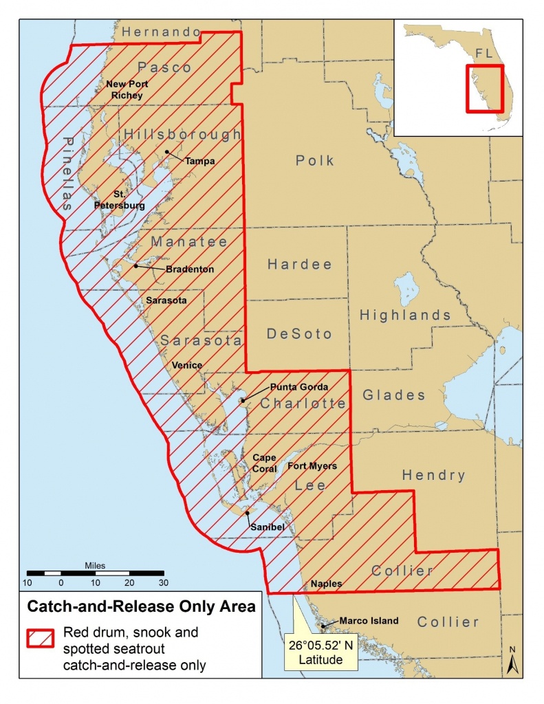 Snook, Redfish And Trout Closures For Parts Of Florida - Peacock Bass Florida Map