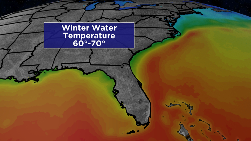 Sunshine State Staying Warm In Winter - Florida Water Temperature Map