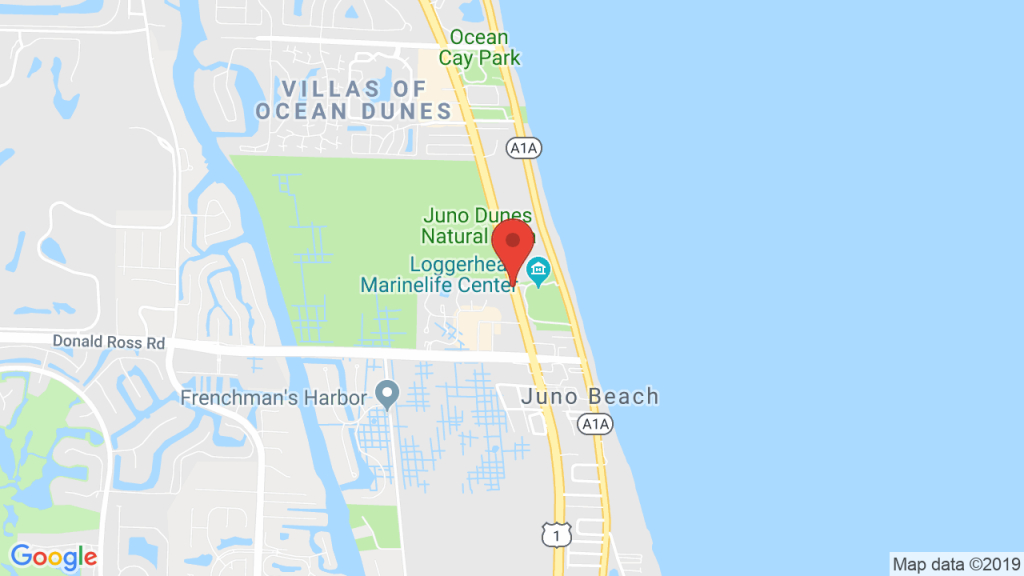 Sushi Jo Juno Beach In Juno Beach, Fl - Concerts, Tickets, Map - Juno Beach Florida Map