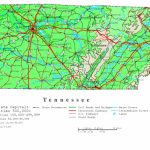 Tennessee Contour Map   Printable Map Of Tennessee With Cities