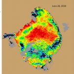 The Algae Bloom Is Back. But Why?   Florida Sea Grant   Toxic Algae In Florida Map