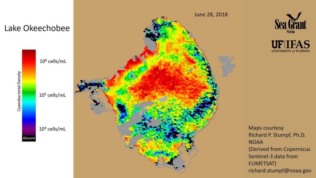 The Algae Bloom Is Back. But Why? - Florida Sea Grant - Toxic Algae In Florida Map