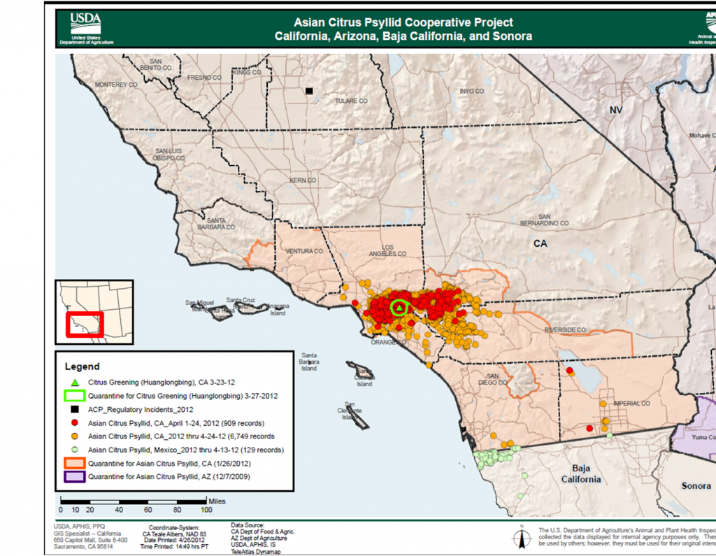 The Asian Citrus Psyllid | Asian Citrus Psyllid - Florida Citrus Greening Map