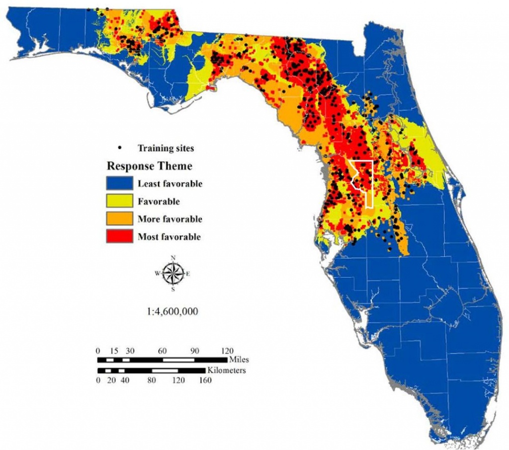 The Science Behind Florida&amp;#039;s Sinkhole Epidemic | Science | Smithsonian - Punta Verde Florida Map