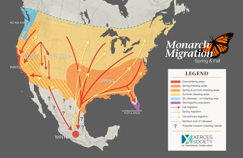 The Xerces Society Monarch Conservation - The Xerces Society - Monarch Butterfly Migration Map California