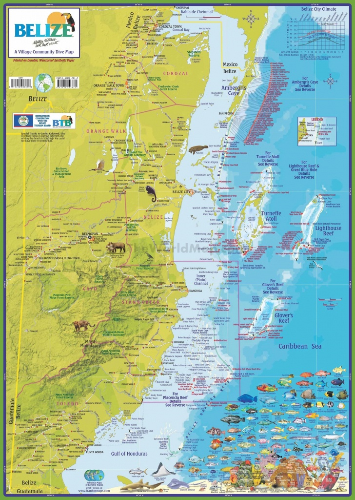 Travel Map Of Belize - Printable Map Of Belize