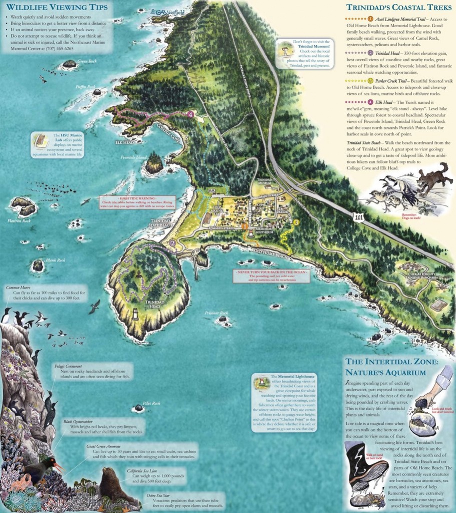 map of trinidad california        
        <figure class=