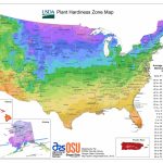 Usda Hardiness Zone Finder   Garden   Texas Planting Zones Map