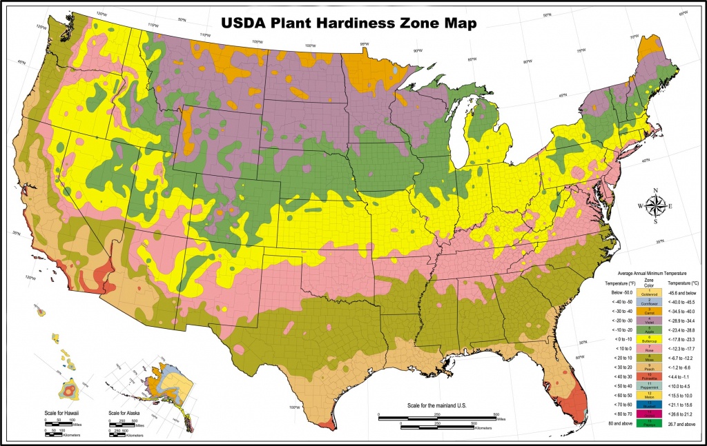 Usda Zone Map For Los Angeles Gardeners - Lawnstarter - Plant Zone Map Florida