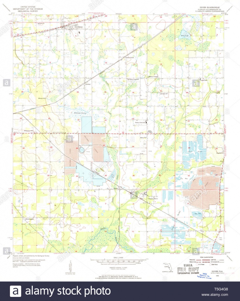 Usgs Topo Map Florida Fl Dover 345874 1955 24000 Restoration Stock - Dover Florida Map