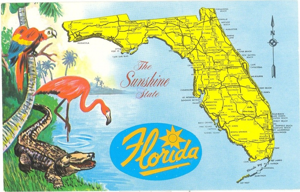 Vintage Florida Postcard - Detailed Map Sunshine State Parrot - Alligators In Florida Map