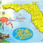 Vintage Florida Postcard   Detailed Map Sunshine State Parrot   Vintage Florida Maps For Sale