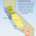 Visit A Member   California Olive Oil Council   Where Is Sacramento California On A Map