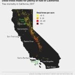 Why California's Wildfires Are So Destructive, In 5 Charts   California Wildfire Risk Map